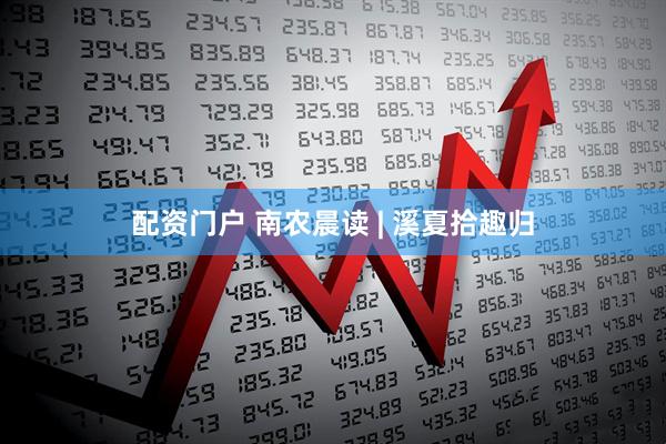 配资门户 南农晨读 | 溪夏拾趣归