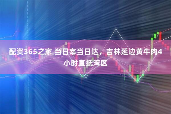 配资365之家 当日宰当日达，吉林延边黄牛肉4小时直抵湾区