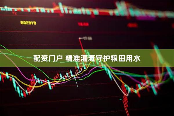 配资门户 精准灌溉守护粮田用水
