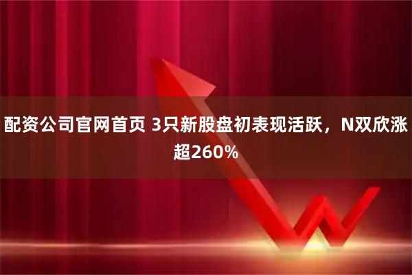 配资公司官网首页 3只新股盘初表现活跃，N双欣涨超260%